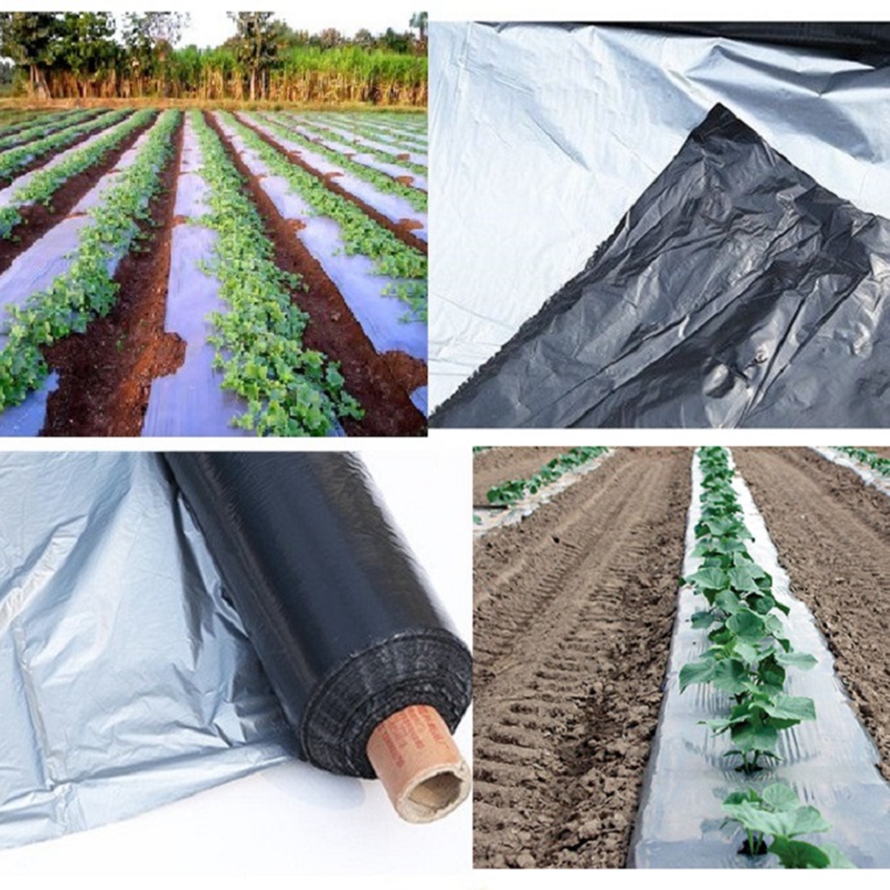MULCHES USED IN AGRICULTURE - FARMAURA