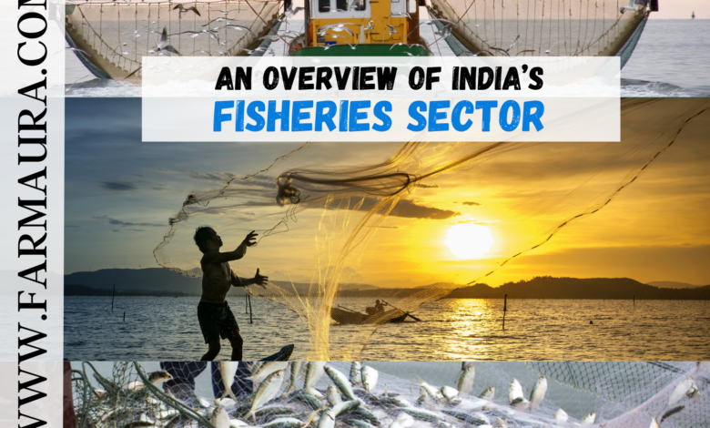 An Overview Of India’s Fisheries Sector - FARMAURA